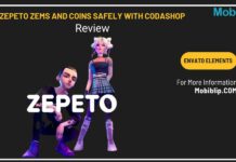 Zepeto-Zems